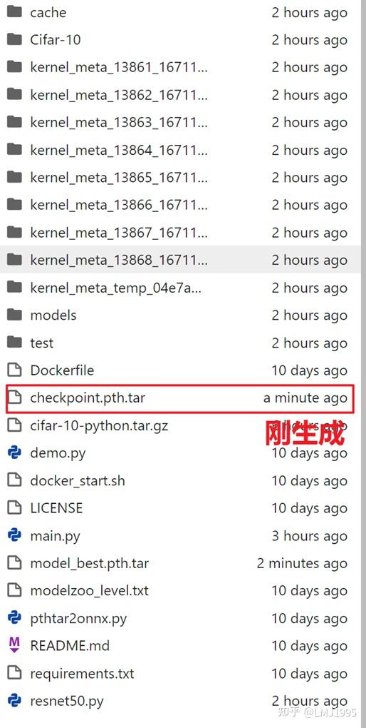  s8 pytorch ascend 