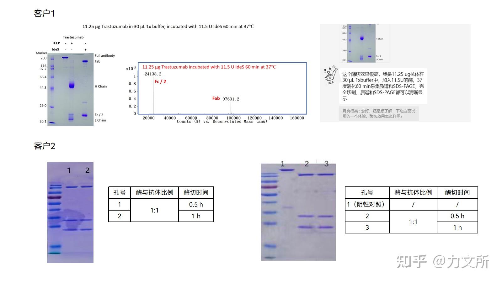 抗体药物表征研究及igg精准开锁工具ides蛋白酶在该研究中的应用