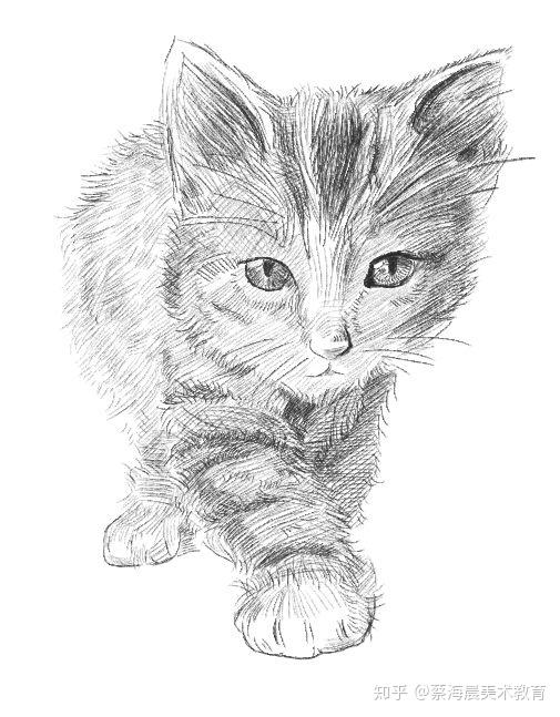 不学素描能学其他画种吗?】