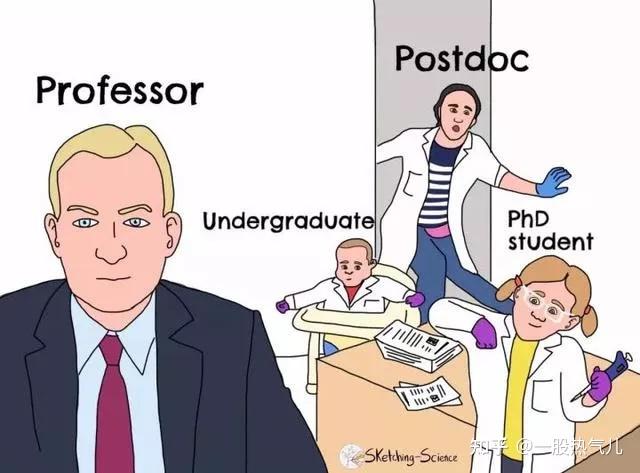 technician postdoc phd student