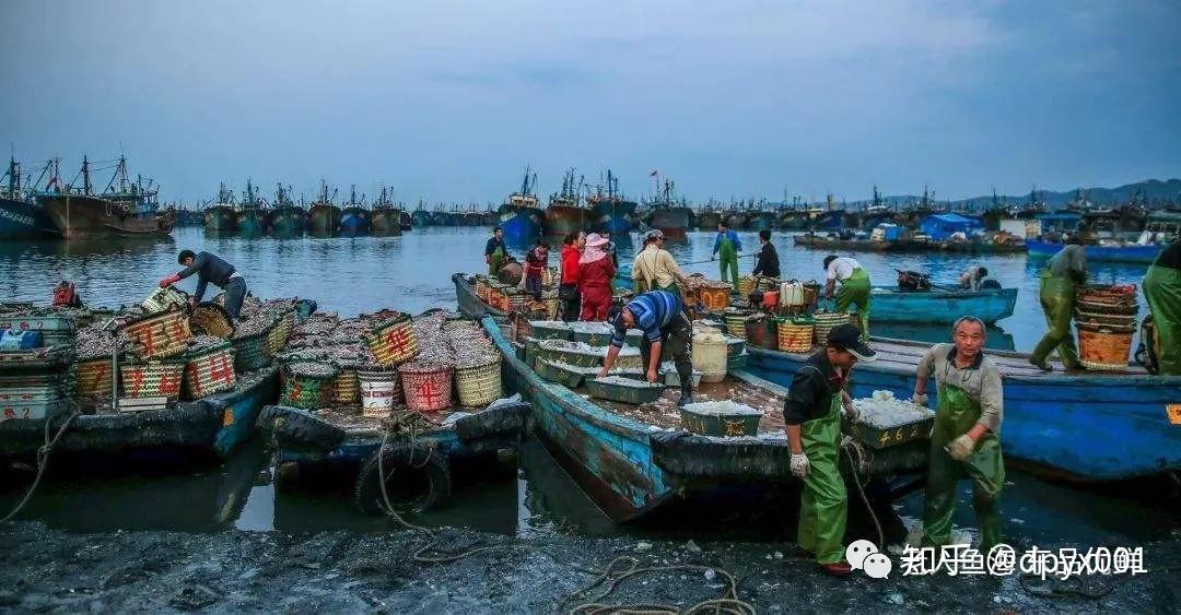 大魚吃小魚,小魚吃蝦米,供需充沛的生物鏈條,讓這片海域在今時今日