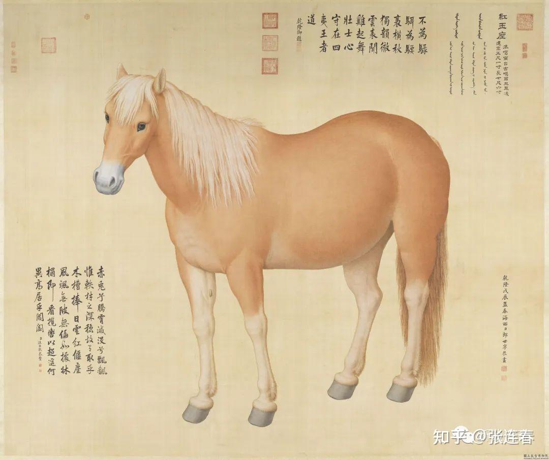 马：昭陵六骏、八骏图和诗经 - 知乎