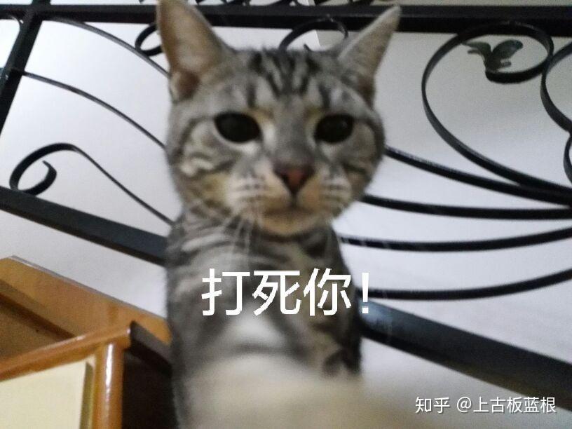 v2-3382ccc176a0334fe36f9dd0bd9a8e91_r.jpg