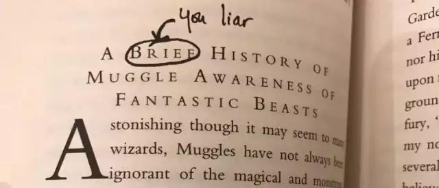 比如"麻瓜对魔法怪兽的认知简史"一章,"简史"二字就被圈了出来,旁边标