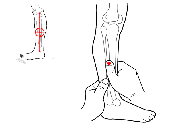 小儿推拿杨晓天干物燥给宝宝按摩这几个穴位有效化痰止咳