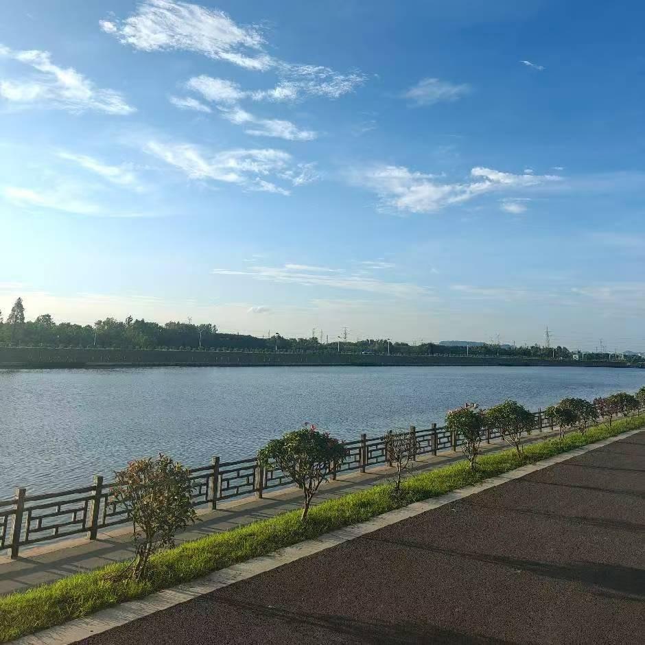 南京程老师