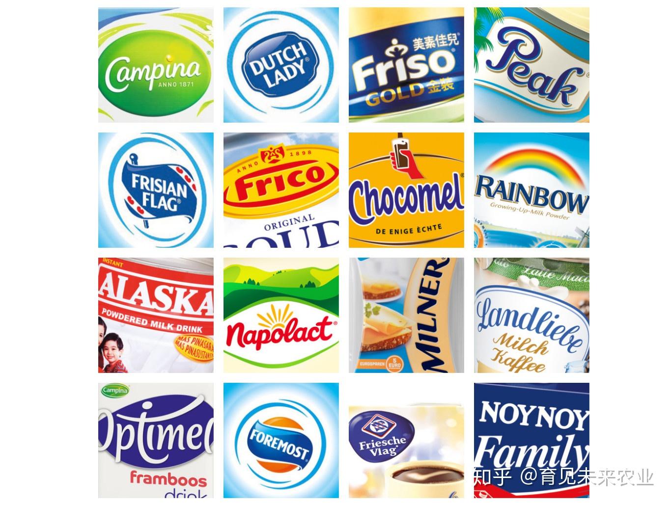 荷兰最大乳品合作社 frieslandcampina 旗下的各式品牌