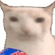 网红猫meme表情包第一弹（震惊猫） - 知乎