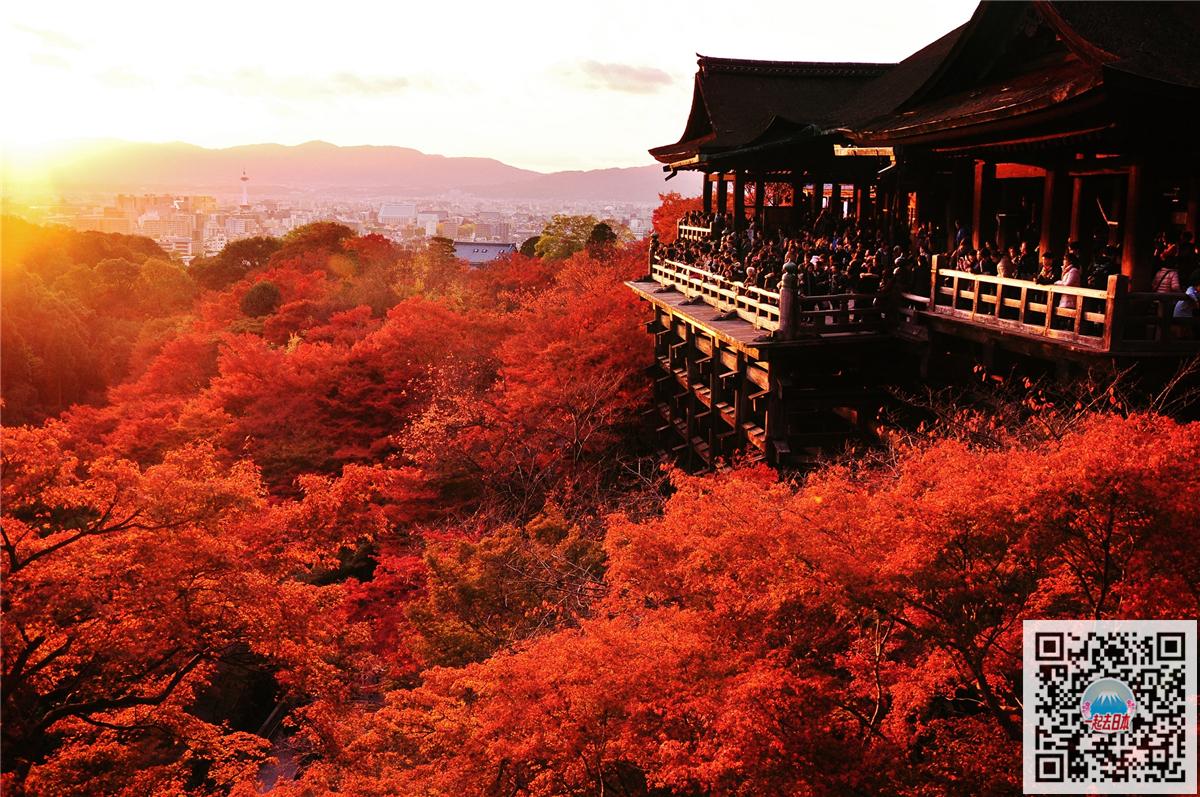 【日本日常】游记-走进日本满山红叶的高尾山_哔哩哔哩_bilibili