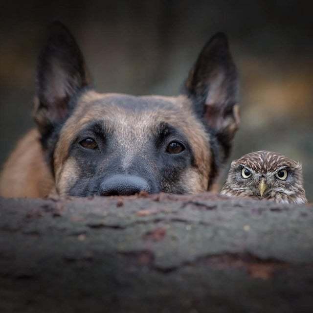 曾经限量的干脆面手机一机难求用起来怎么样