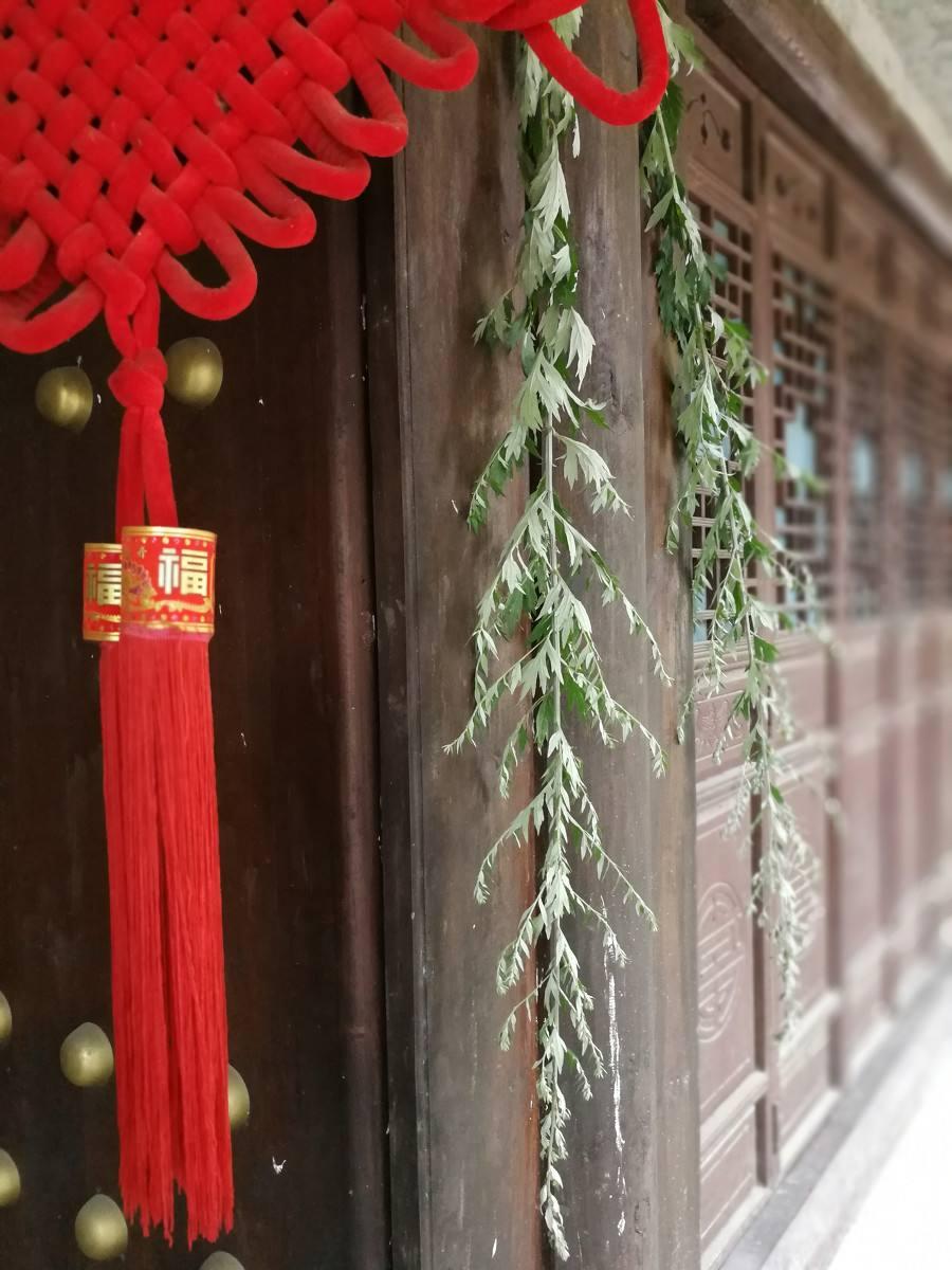 艾在端午节爱在三伏天红脚艾在传承