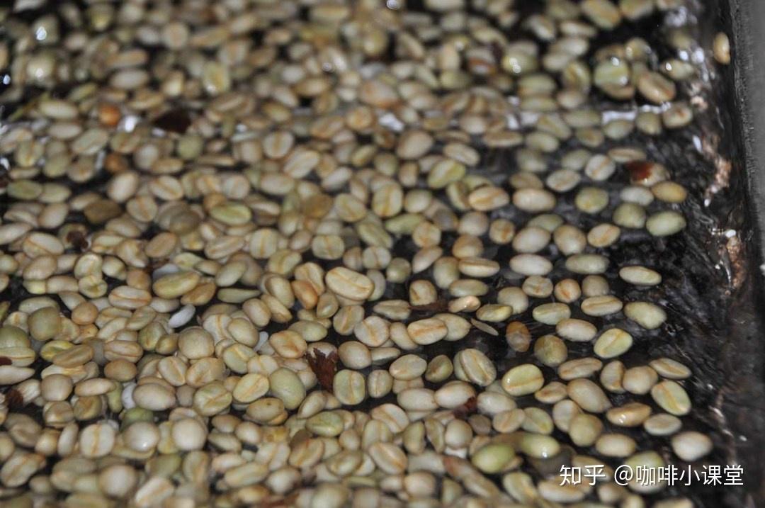 02.水洗处理法的特点