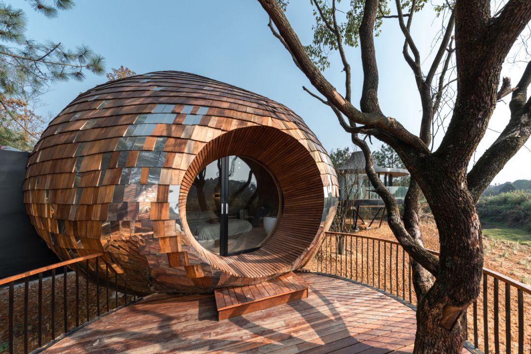 亲子游不二选择,贵州铜仁树蛙部落!