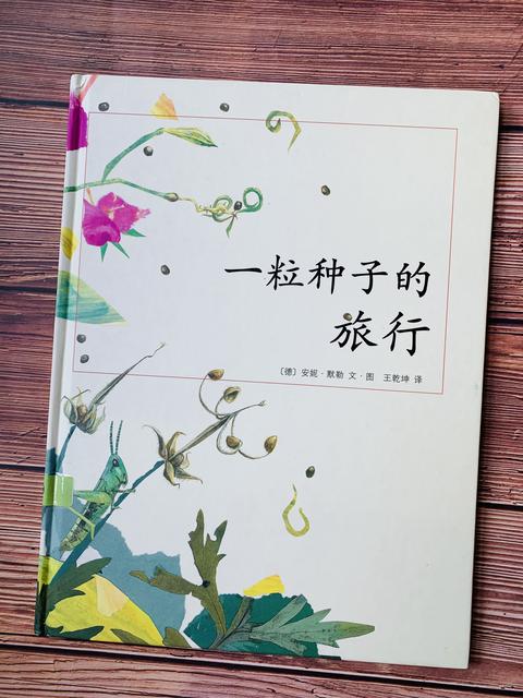 种子植物 知乎