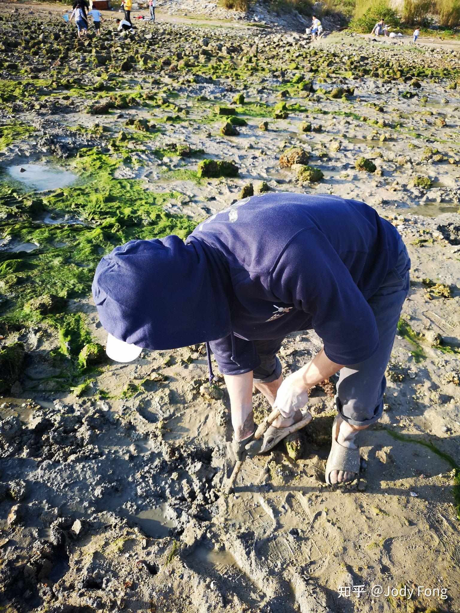 惠州小桂老码头赶海