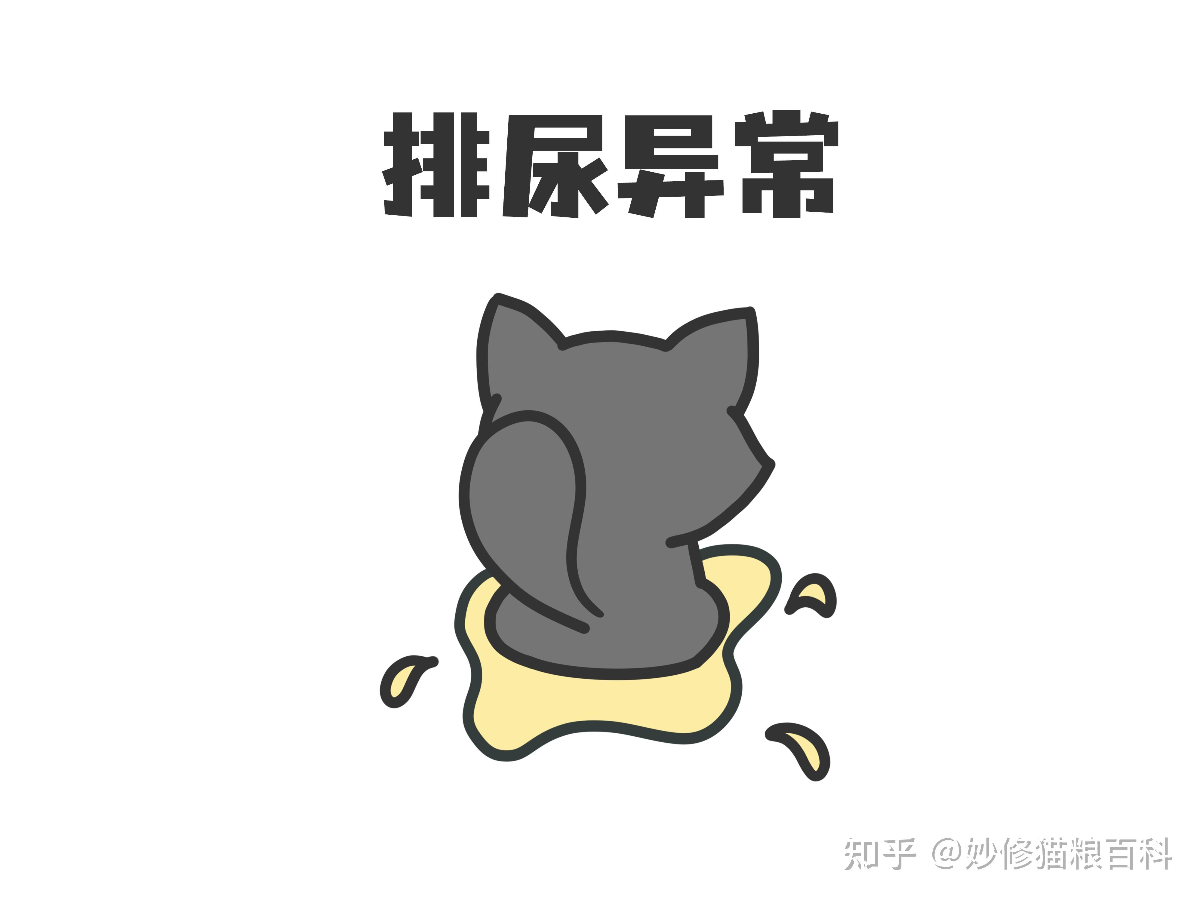 猫咪排尿异常,宠主要重视起来,千万别忽略了,平时多让猫咪喝水.