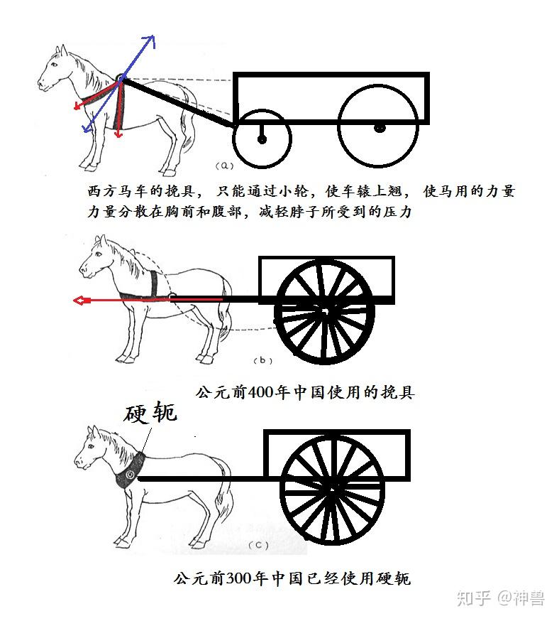 中国马车更科学合理,我们甚至可以推测西方的四轮马车,是学习了中国的