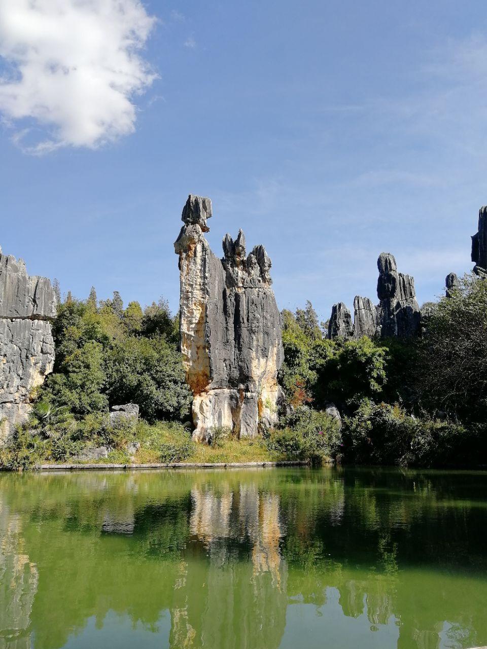 秀雲南昆明石林旅遊景點是否關閉石林哪個景點最經典