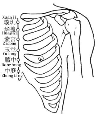 中医启蒙：膻中穴如何定位取穴？ - 知乎