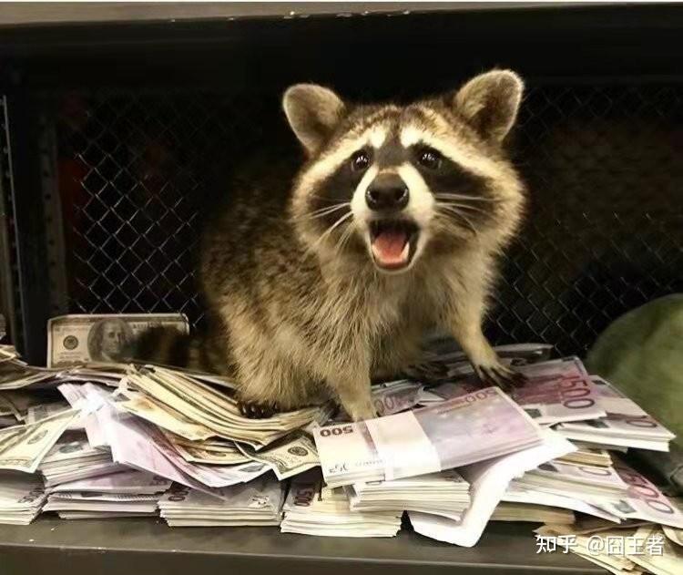 Nuguri Racoon Nuguri反复横跳T1被耍两次,DK退出报价!牛宝到底会去哪儿? - 知乎