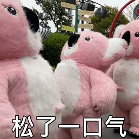 粉色考拉贴贴表情包可爱表情包