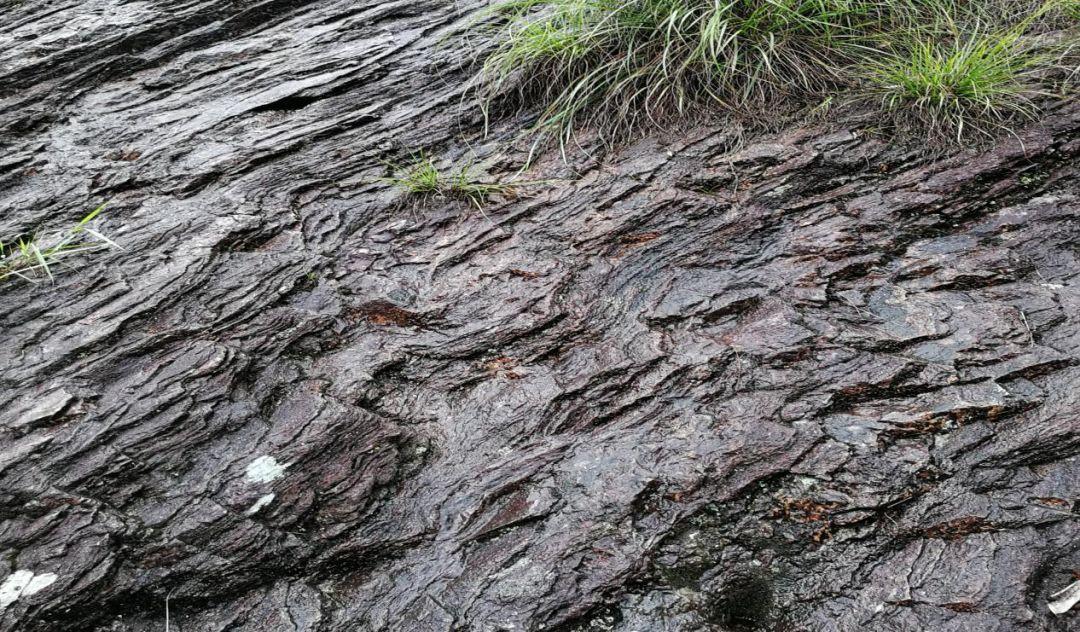 图31 流纹构造(实习拍摄(2)球泡流纹岩在通往大龙湫路旁岩壁流纹岩中