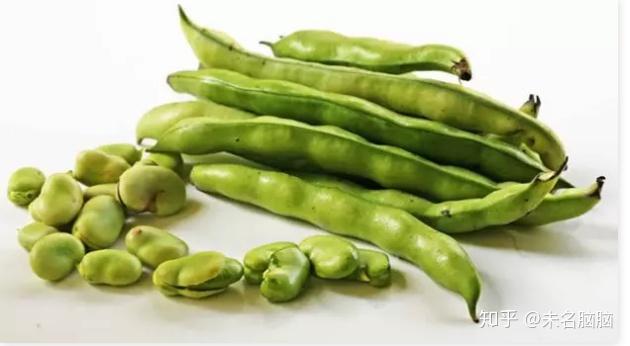 大脑必需的营养素胆碱10种食物中含量多