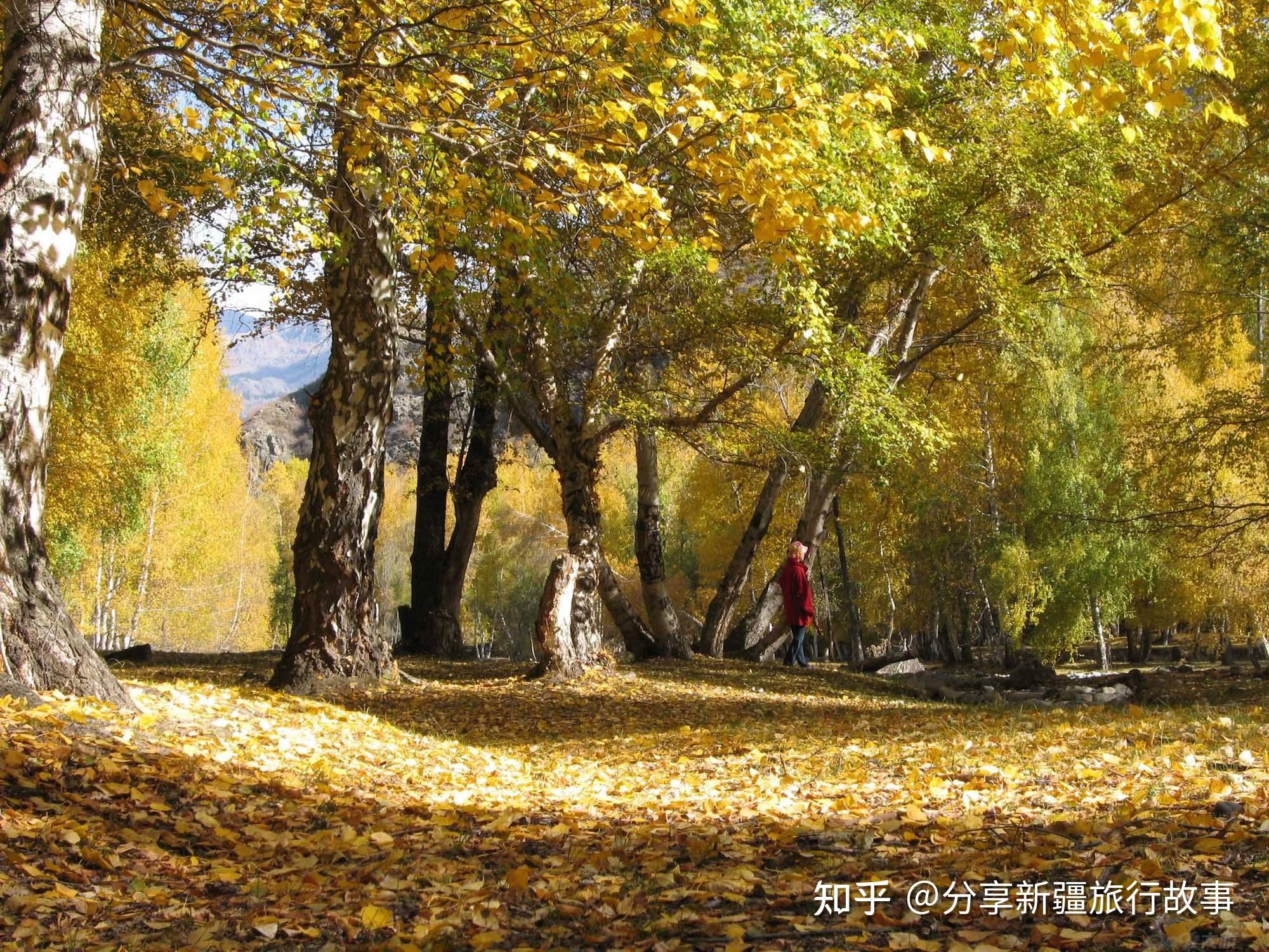 新疆旅游攻略(65)-新疆旅游景区景点-博乐市景区景点 - 知乎