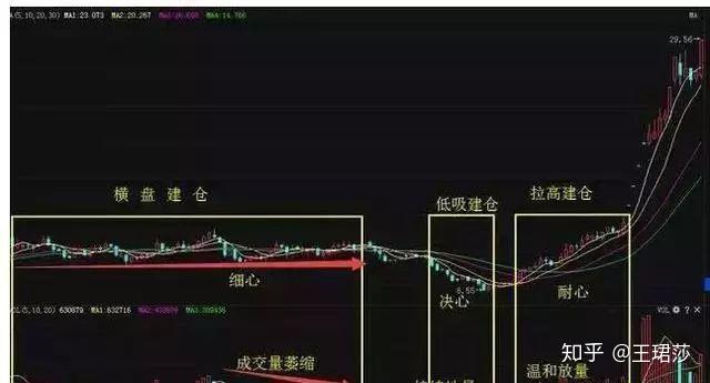 "蜻蜓点水"的阶段形态