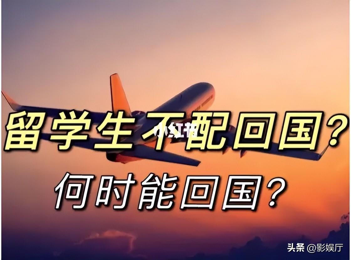 瑞士宣布最低时薪200元，国内才10元，留学生根本不想回国- 知乎