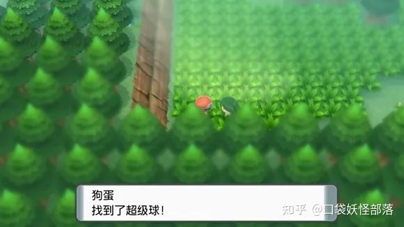 宝可梦晶灿钻石发售日期(《宝可梦晶灿钻石明亮珍珠》一周目图文攻略)  第67张