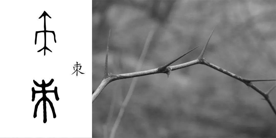 何刺史:这“刺史”是什么官职?了解“刺”异体字“刾” - 知乎