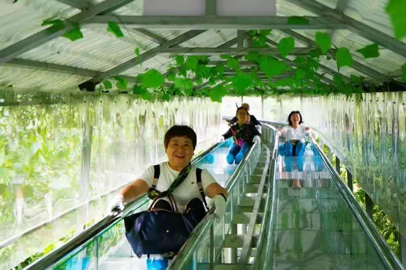 绝佳的亲水体验清凉一夏,360°水陆空玩转最美边境线德天跨国瀑布它就