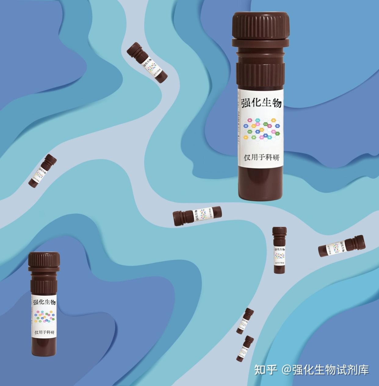 5-羧基四甲基罗丹明 鬼笔环肽,染色流程和作用机制 - 知乎