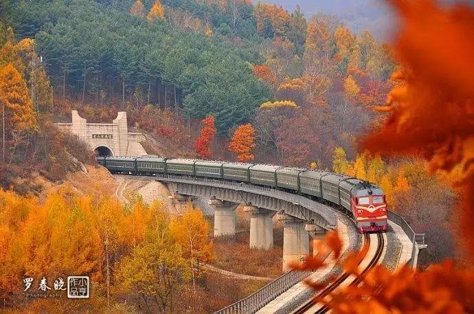我见过最美的景色是这趟开往秋天的列车