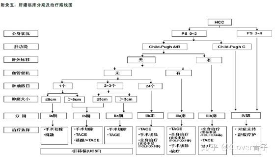 肝癌肝癌分期与分子分型