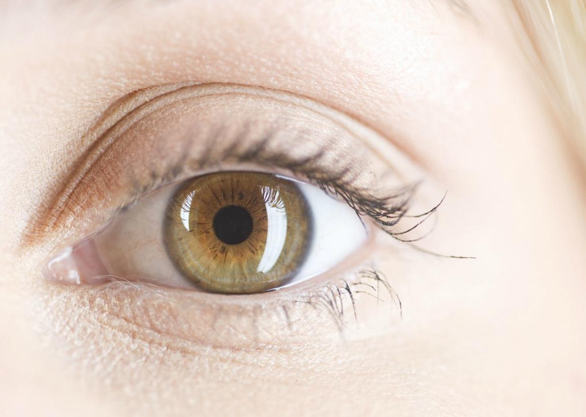 角膜作为主要的屈光间质,在正常视觉形成过程中发挥着重要作用.