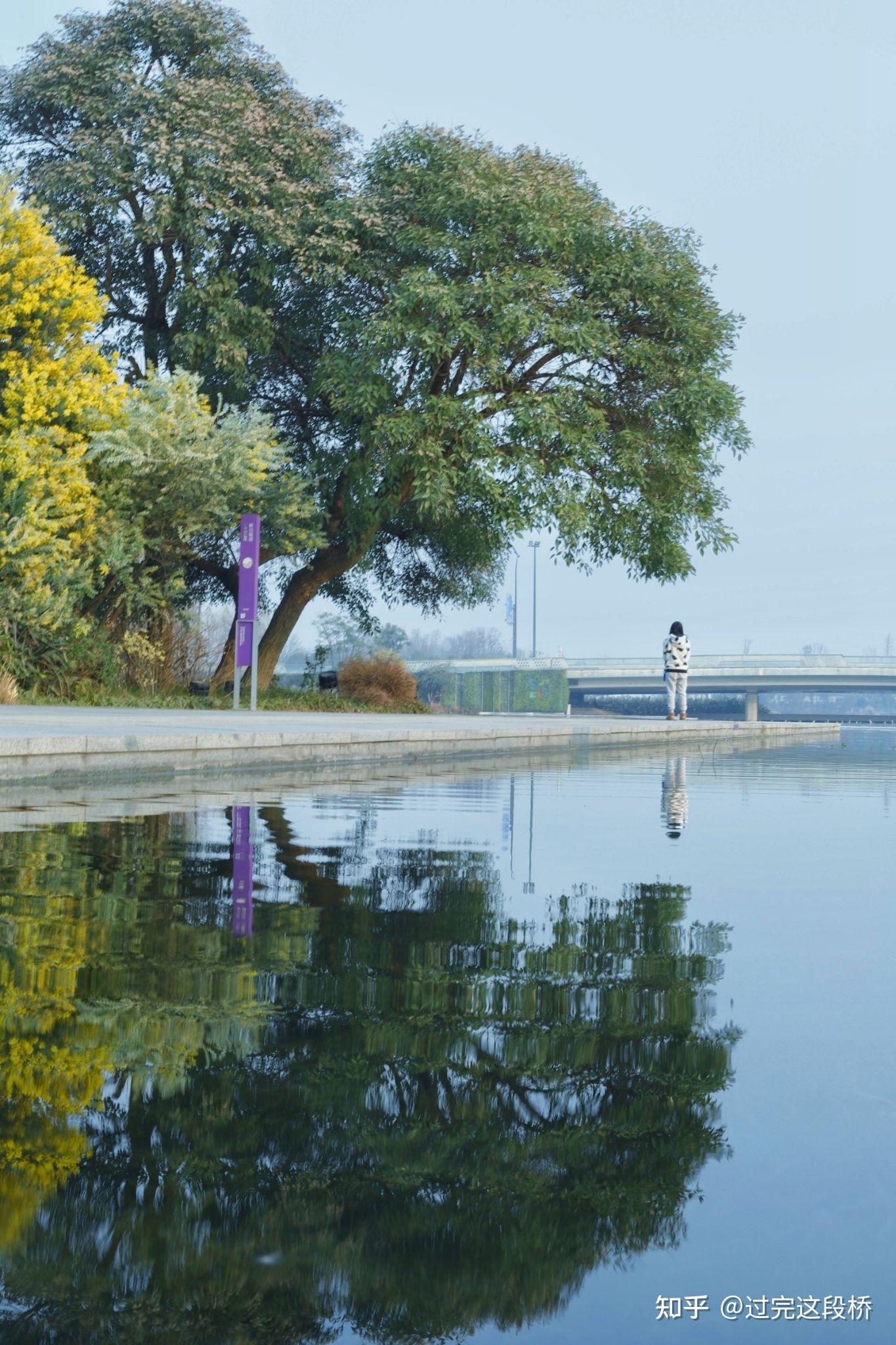 怎么利用手机相机拍照 v2-34bba088d8a1ff46aad23003bcd94545_r.jpg