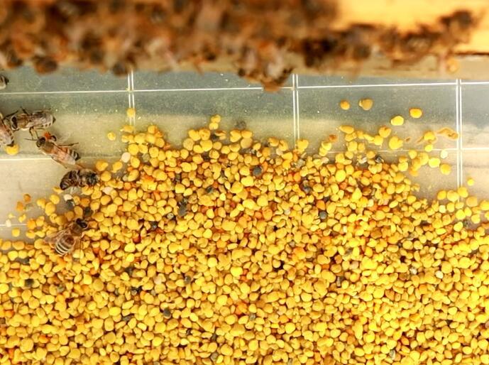 蜂蜜归档 优米蜂蜜百科网