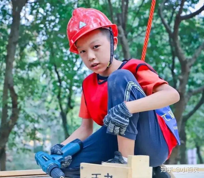 元旦丛林树屋营以建造之名筑童年梦想家动手动脑小工程师冲冲冲