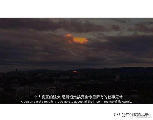 人生感悟的经典句子100句。插图11 人生感悟的经典句子100句。插图11
