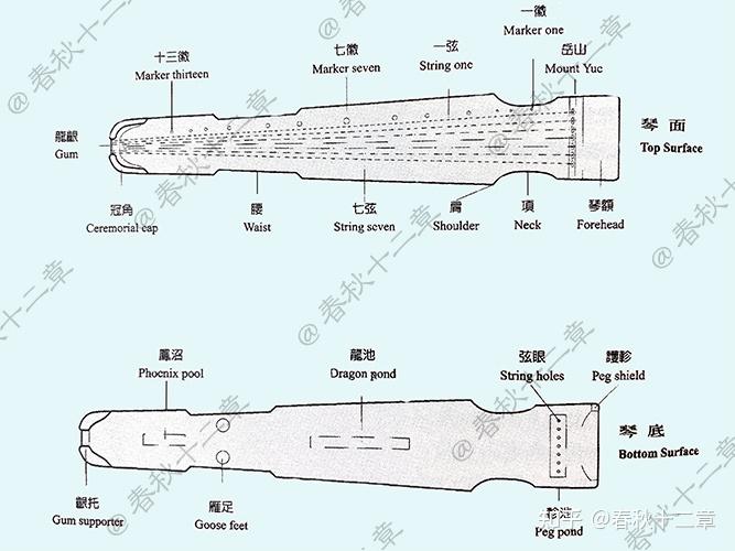 五弦琴的资料图片