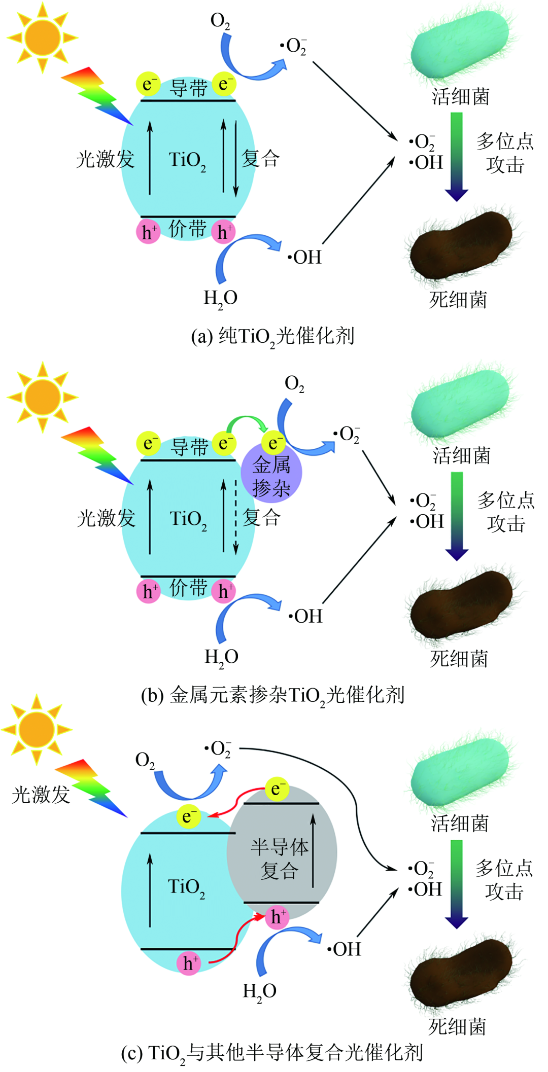 程荣,邓子祺,郑祥,等:光催化系统灭活微生物气溶胶的研究进展 - 知乎