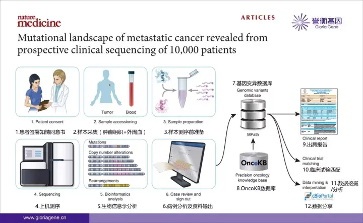 学术前沿｜MSK-IMPACT™再回首 - 知乎