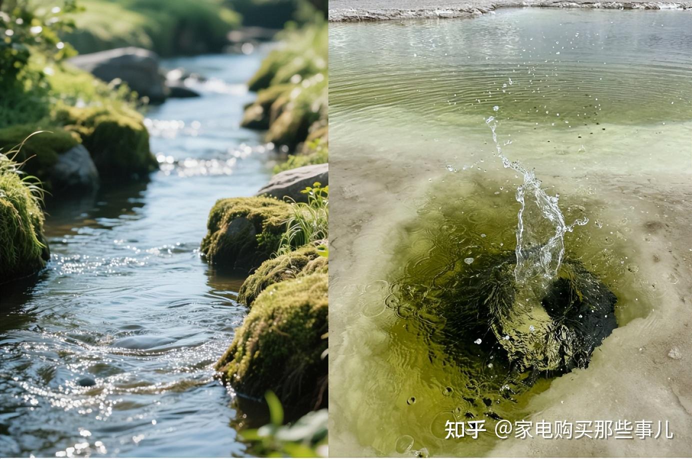 事关家里的娃,重复加热的千滚水、隔夜陈水,真的有这么毒?还是直饮机和管线机厂家贩卖焦虑