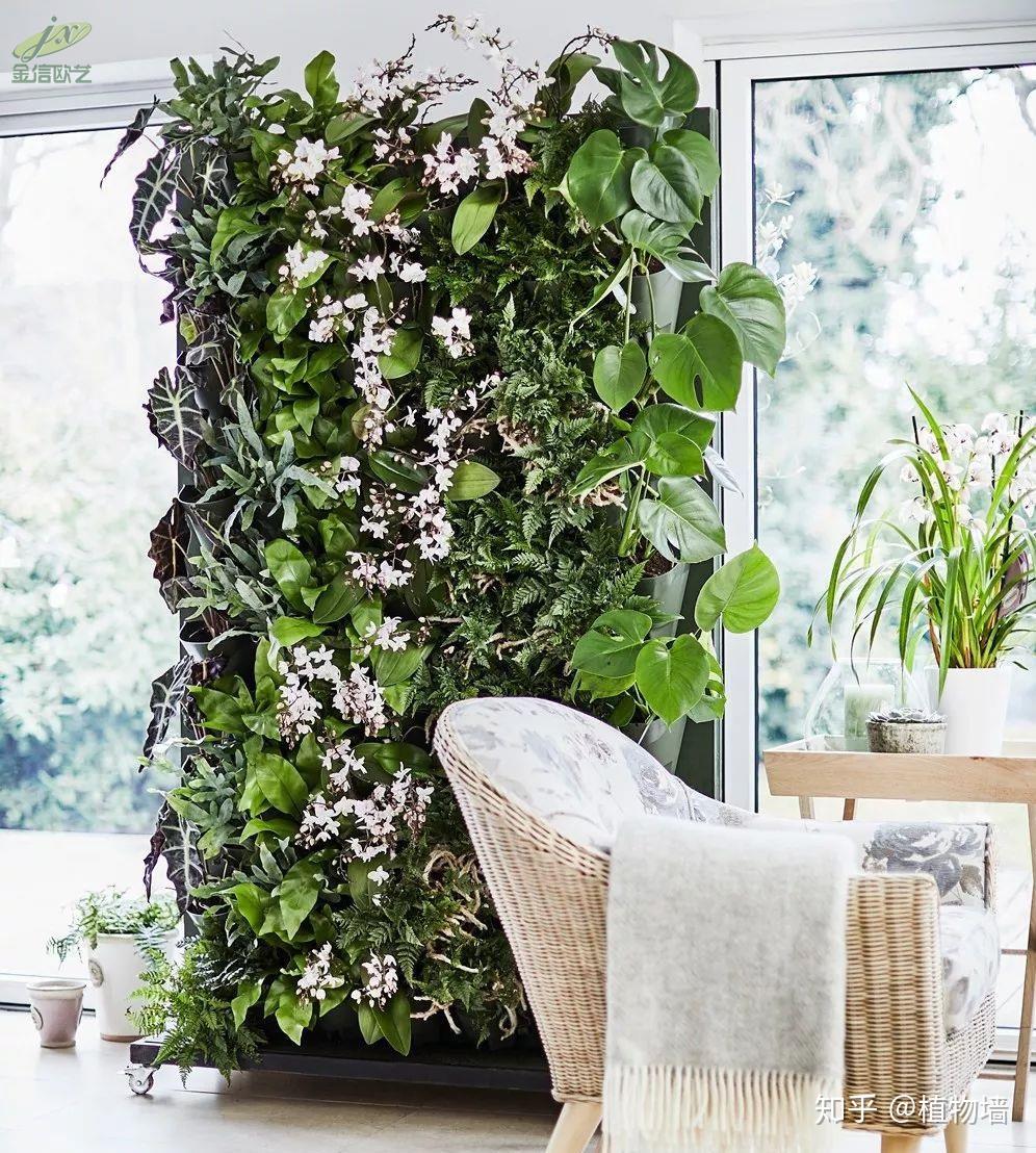 植物墙屏风存在哪些问题如何解决