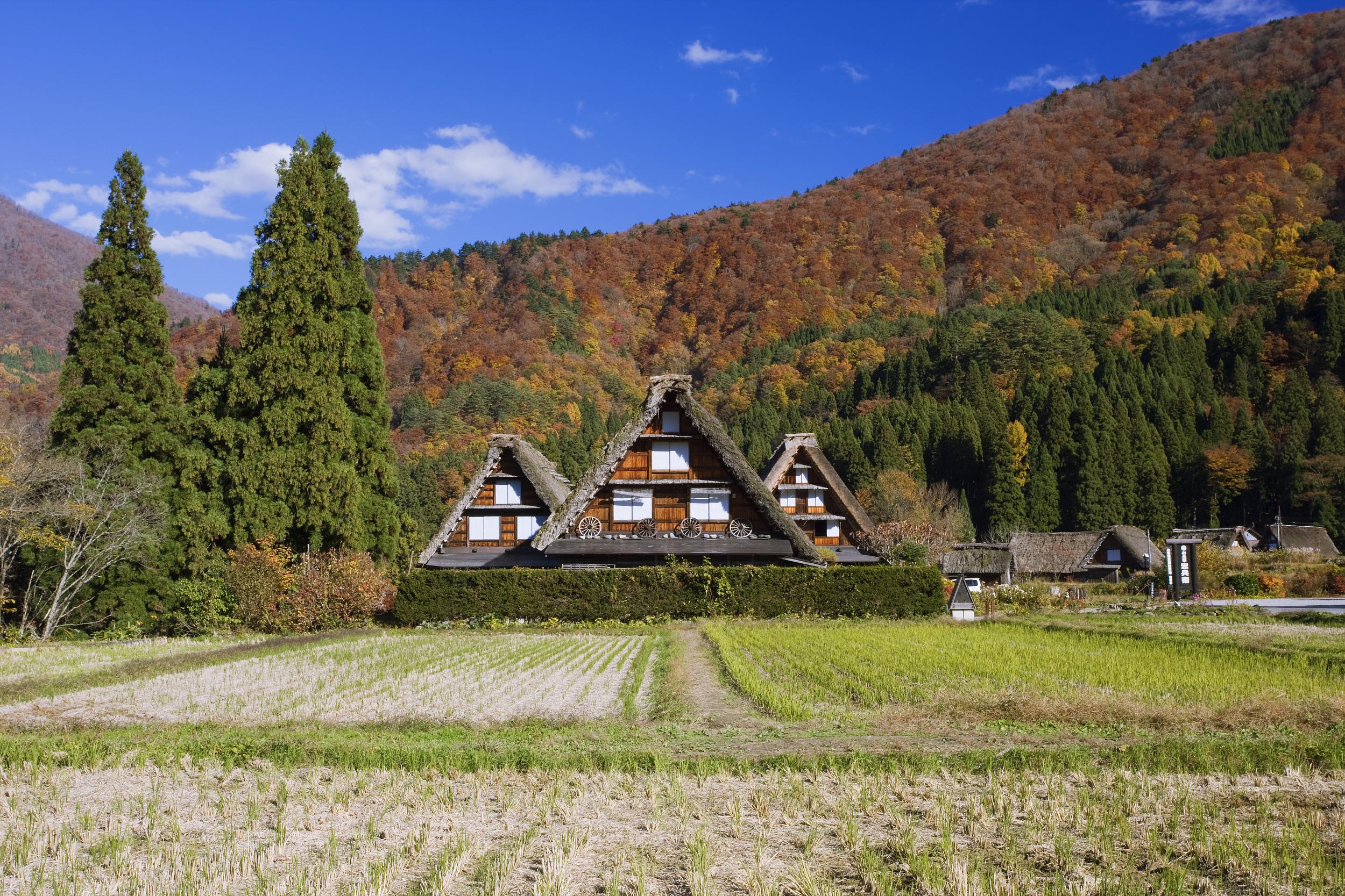 山区中就隐藏着一个被称为日本最美乡村的小山村——白川乡