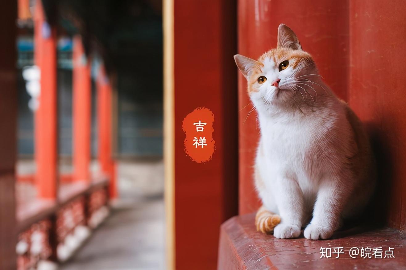 上新了故宫第三季今晚开播首期嘉宾邓伦张鲁一聂远