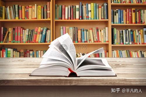 揭示勇气与团结背后的深刻寓意