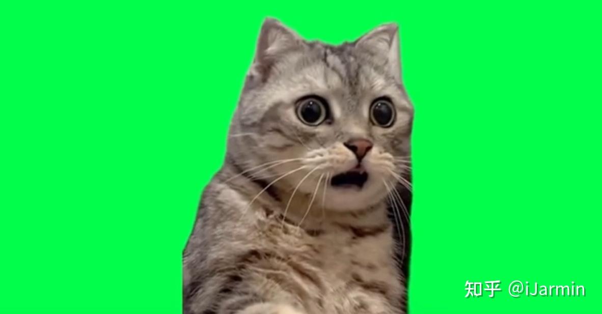 猫meme最全绿幕素材,剪辑可用 - 知乎